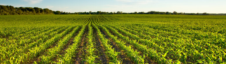 Farm Insurance in Burlington, IA, Galesburg, Stronghurst, IL, Monmouth, IL and Surrounding Areas